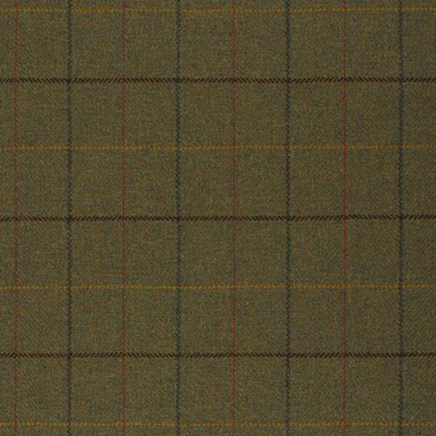 Plaid tweed fabric texture in green Plaid tweed fabric texture in green tweed stock pictures, royalty-free photos & images