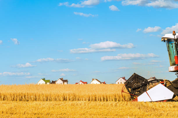Combine harvester with cutter platform at work. Side view of head cabin and reaping machine with rural houses on the horizon.