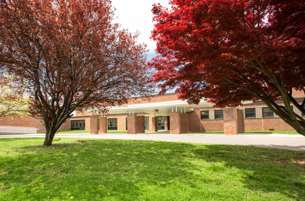 istock Exterior view of a typical American school building 1317008095
