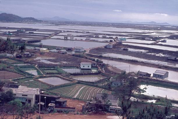 Japan, 1974. New Territories facing the border.