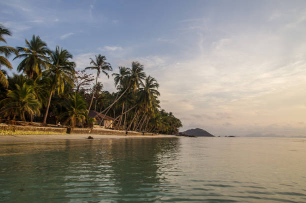 istock sunset on Koh Samui. beach landscape tropical island 1317014152