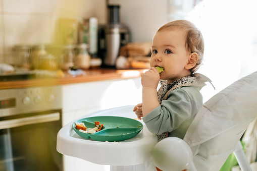 Cute blond baby girl eating meal while sitting at high chair. Adorable female toddler enjoying baby food. She is at home.