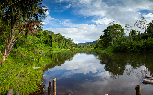 Amazon rainforest, Peru, panoramic landscape of the tropical jungle, and biosphere reserve located in river Madre de Dios, Manu National Park, full of diverse ecosystems such as lowland rainforests.