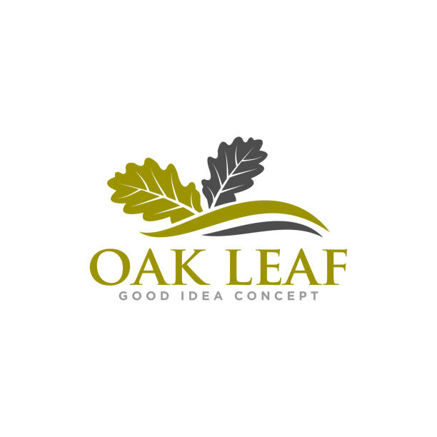 кленовый лист дизайн иллюстрация вектор - oak tree stock illustrations