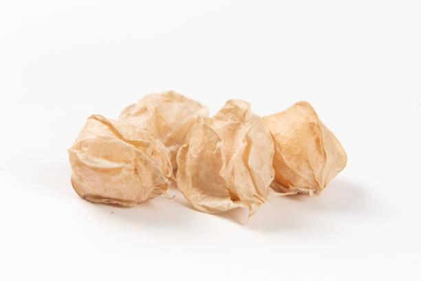 istock Cape Gooseberry isolated on white background. 1317023129