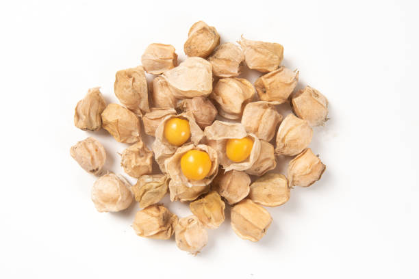 Cape Gooseberry isolated on white background. Cape Gooseberry isolated on white background. Clipping path. gooseberry cape winter cherry berry fruit stock pictures, royalty-free photos & images