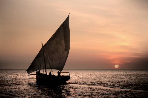 A traditional dhow at sunset near Stone Town, Zanzibar, Tanzania A traditional dhow at sunset near Stone Town, Zanzibar, Tanzania dhow photos stock pictures, royalty-free photos & images