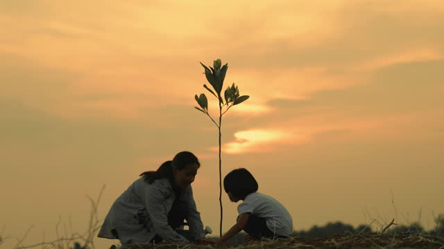 Mother and daughter planting a tree at evening time.