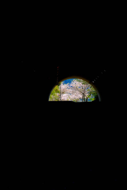istock The light of hope seen beyond the spring tunnel 1317032787