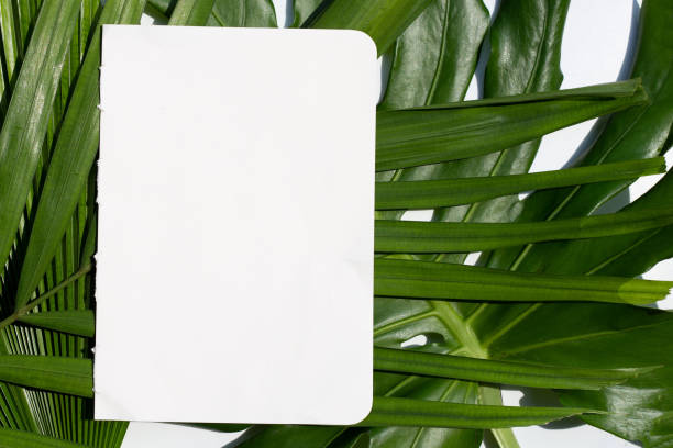 istock Blank white paper on tropical leaves background. 1317035043