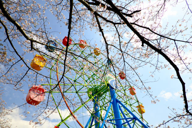 istock Beautiful spring scenery of sunny Shiroyama Park 1317038902