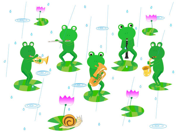 illustrazioni stock, clip art, cartoni animati e icone di tendenza di rana musica - new york rain