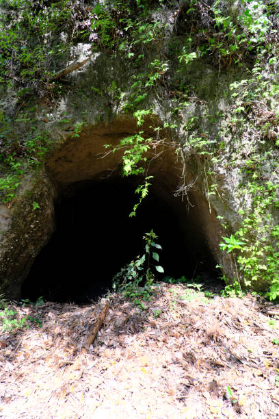 istock Traces of an air raid shelter opened in the mountains 1317039430