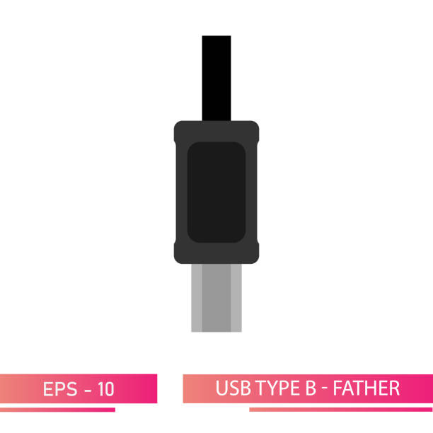 Usb B Vector 150+ Usb C Stock Illustrations, Royalty-Free Vector Graphics & Clip Art ...