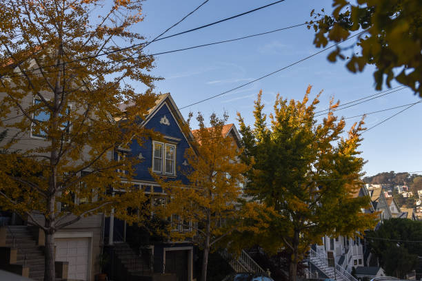istock blue victorian house and yellow leaves 1317046375