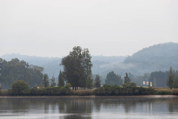 istock Morning by the lake 1317048842
