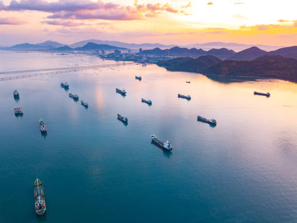 istock Oil tanker ships off the coast in beautiful light sundown 1317053009