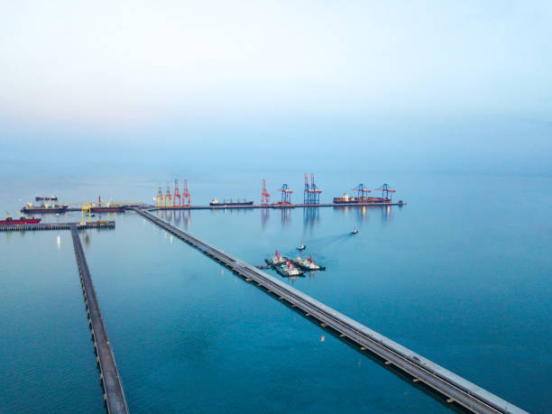 istock Aerial view, pier to the crane bridge is unloading container cargo to large vessel in dockyard 1317053011