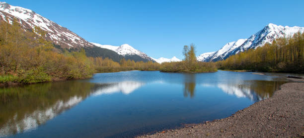 Curving shore of Portage Creek in Turnagain Arm near Anchorage Alaska United States Curving shore of Portage Creek in Turnagain Arm near Anchorage Alaska United States portage valley stock pictures, royalty-free photos & images