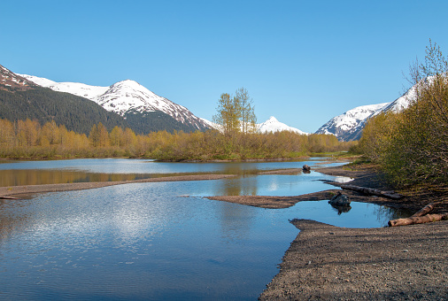 Moose Flats Wetland and Portage Creek in Turnagain Arm near Anchorage Alaska United States