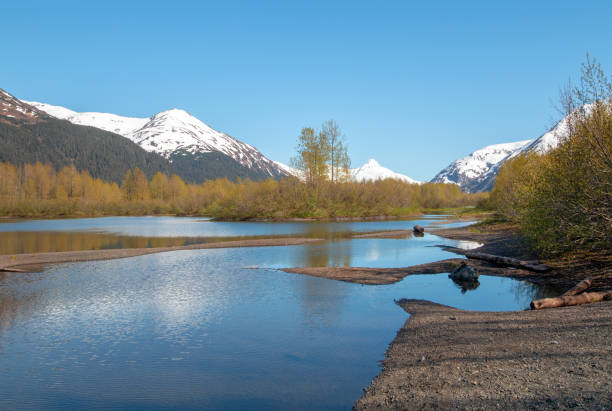 Moose Flats Wetland and Portage Creek in Turnagain Arm near Anchorage Alaska United States Moose Flats Wetland and Portage Creek in Turnagain Arm near Anchorage Alaska United States portage valley stock pictures, royalty-free photos & images