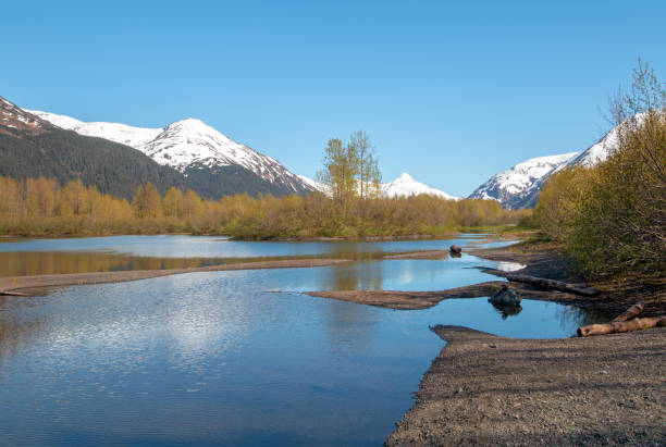 moose flats wetland i portage creek w turnagain arm w pobliżu anchorage alaska stany zjednoczone - portage zdjęcia i obrazy z banku zdjęć