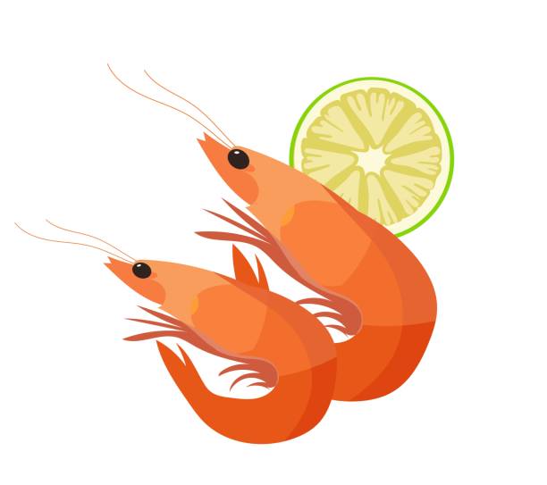 Shrimps with lemon on a white plate. Vector illustration in flat style. Shrimps with lemon on a white plate. Vector illustration in flat style. shrimp prepared shrimp prawn cartoon stock illustrations