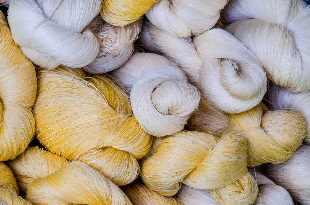 Real Silk Thread 4,900+ Raw Silk Thread Stock Photos, Pictures & Royalty-Free Images ...