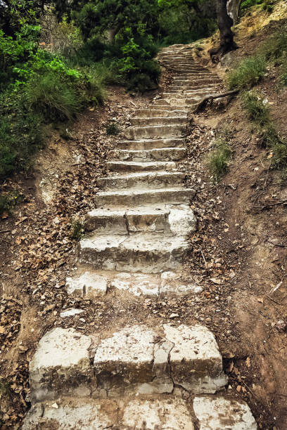 istock Ancient stone staircase footpath in hilly Park. 1317062148