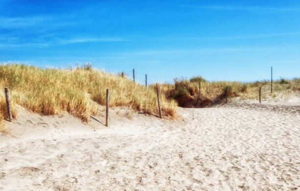 istock Beach entrance on a sunny day. 1317064582