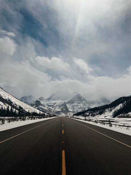 istock Mountains and Snowy Evergreens 1317066448