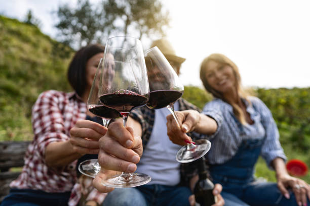 сбор винограда для виноделия рассказ: расслабляющий после сбора урожая с бокалом - tuscany vineyard italy agriculture стоковые фото и изображения