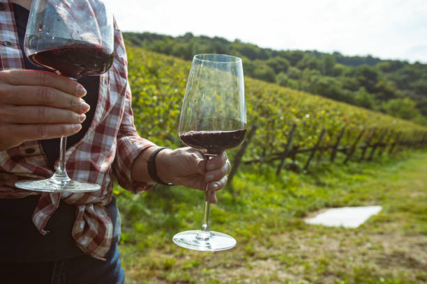 vendanges pour la narration de vinification: détente après la récolte avec un verre - montalcino photos et images de collection