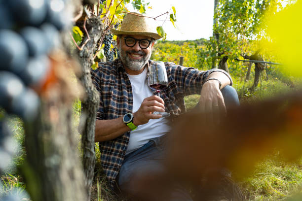 colheita de uvas para fazer contação de histórias: relaxando após a colheita com um copo - tuscany italy italian culture autumn - fotografias e filmes do acervo