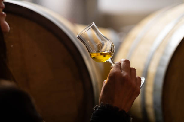 istock Wine tasting in a Italian winery after grape harvesting: drinking grappa 1317068835