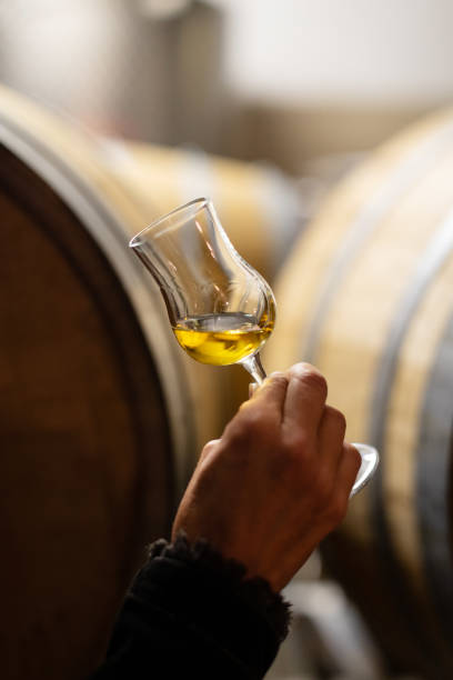 istock Wine tasting in a Italian winery after grape harvesting: drinking grappa 1317068845