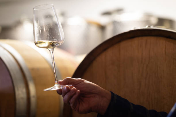 dégustation de vin dans une cave italienne après la vendange - wine culture photos et images de collection
