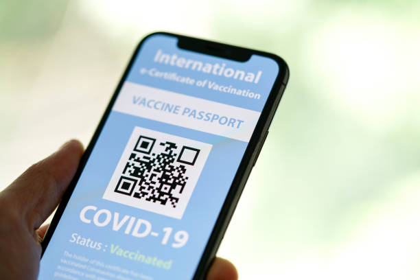 istock Certificate of Vaccination shows on mobile phone 1317069685