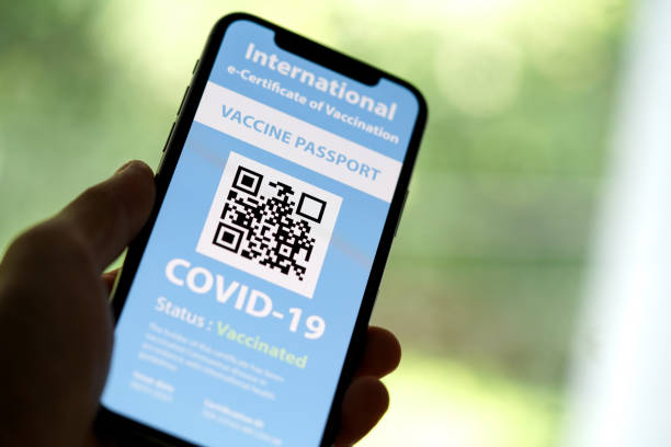 istock Certificate of Vaccination shows on mobile phone 1317069691