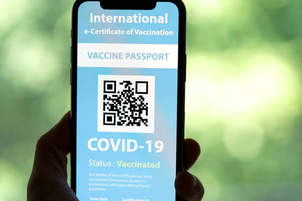 istock Certificate of Vaccination shows on mobile phone 1317069721