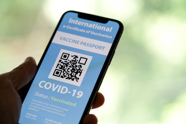istock Certificate of Vaccination shows on mobile phone 1317069783