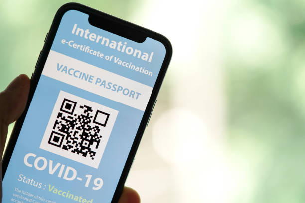istock Certificate of Vaccination shows on mobile phone 1317069802