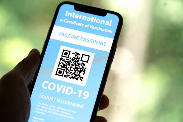 istock Certificate of Vaccination shows on mobile phone 1317069803