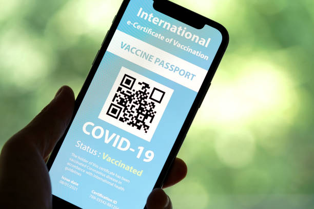 istock Certificate of Vaccination shows on mobile phone 1317069818