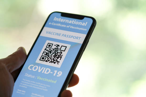 istock Certificate of Vaccination shows on mobile phone 1317069847
