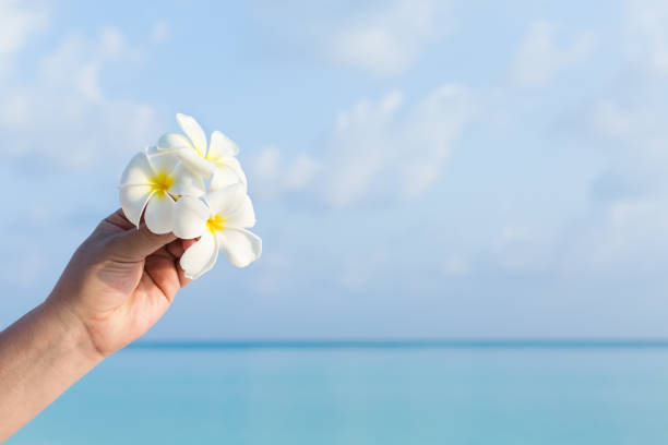 Hand holding exotic flower. Tropical background - hand holding flower with copy space.