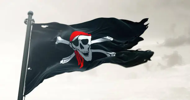 Photo of Pirate flag