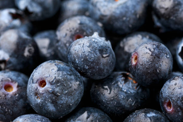 istock Fresh Blueberries with drops of water. Macro photo 1317081734
