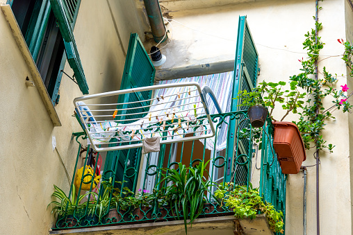 A balcony with plants and a green railing on which a white clothes horse is mounted. The windows have green shutters.