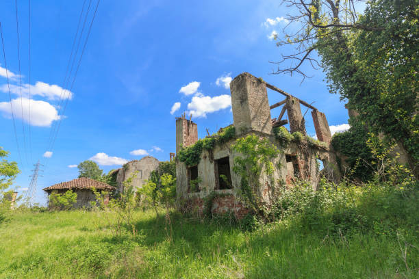 istock Abandoned farmhouse 1317085091
